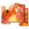 tableau avec des photos de fleurs sauvages peintes a la main - version: 5 pannelli 89x77cm