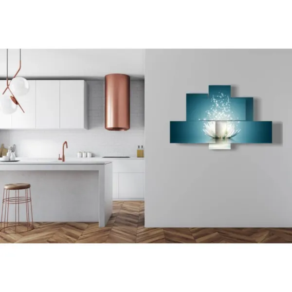 poster fiori di loto