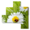 painting of photos with daisies and ladybug - version: 4 pannelli 103x107cm