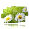 painting of photos with daisies and ladybug - version: 9 pannelli 171x108cm