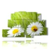 painting of photos with daisies and ladybug - version: 9 pannelli 173x103cm