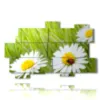 painting of photos with daisies and ladybug - version: 11 pannelli 182x115cm