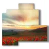 bilder mit fotos von mohnblumen bei sonnenuntergang reich an farben - version: 4 pannelli 83x78cm