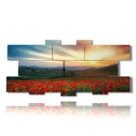 photo of poppies at sunset