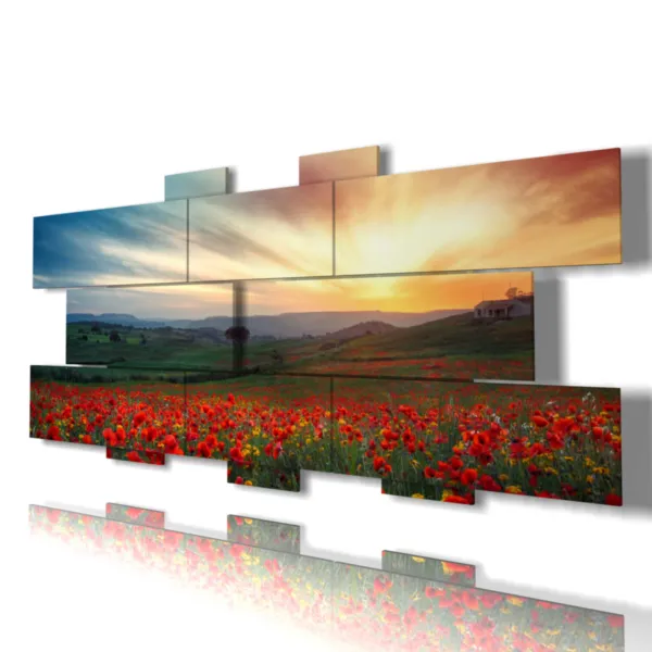 Kriegel Mohnblumen im Sonnenuntergang