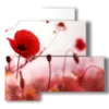 modern paintings flowers portrait effect red poppies - version: 4 pannelli 83x78cm
