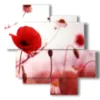 cuadros modernos flores efecto retrato amapolas rojas - version: 4 pannelli 97x97cm
