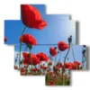 caja con fotos de amapolas rojas en el cielo azul - version: 4 pannelli 97x97cm
