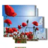 caja con fotos de amapolas rojas en el cielo azul - version: 6 pannelli 113x99cm