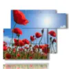 quadro con foto di papaveri rossi nel cielo azzurro - version: 6 pannelli 122x96cm