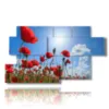 caja con fotos de amapolas rojas en el cielo azul - version: 7 pannelli 157x90cm
