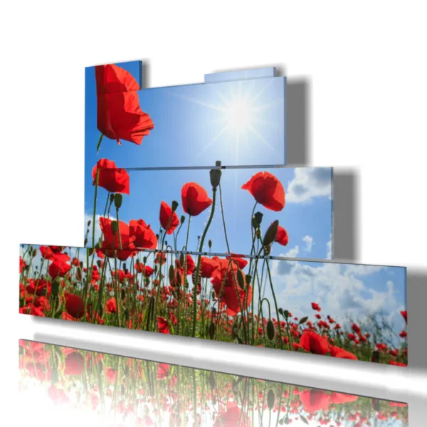 Red poppy prints