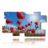 caja con fotos de amapolas rojas en el cielo azul - version: 10 pannelli 186x105cm