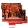 painting with red hot autumn photos - version: 6 pannelli 113x99cm