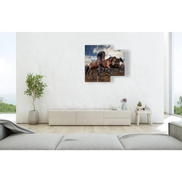Tableaux chevaux sauvages