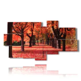 foto di autunno caldo