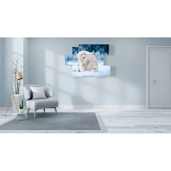 Tableaux cheval blanc étendu dans la neige