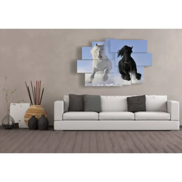 Paintings of black and white horses