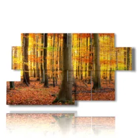 foto de otoño en la montaña