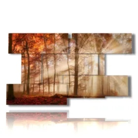 Photo d''automne de châtaignes