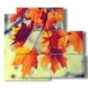 tableau photo d automne avec des feuilles d oranger - version: 5 pannelli 102x93cm