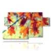tableau photo d automne avec des feuilles d oranger - version: 7 pannelli 157x90cm
