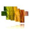 bild herbstregenbogen aus blaettern - version: 7 pannelli 173x106cm