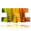 autumn rainbow painting of leaves - version: 8 pannelli 186x97cm