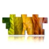 tableau de feuilles arc en ciel d automne - version: 12 pannelli 232x106cm