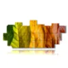 quadro autunno arcobaleno di foglie - version: 15 pannelli 250x112cm