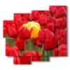 paintings of red tulips embracing yellow - version: 5 pannelli 106x98cm