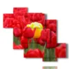 bilder von roten tulpen die gelb umarmen - version: 6 pannelli 127x110cm