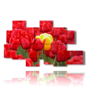 quadri di tulipani rossi