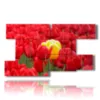 paintings of red tulips embracing yellow - version: 9 pannelli 177x101cm