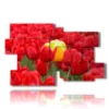 paintings of red tulips embracing yellow - version: 12 pannelli 190x119cm