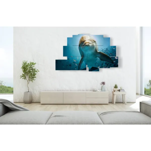 Dauphins nageant et jouant