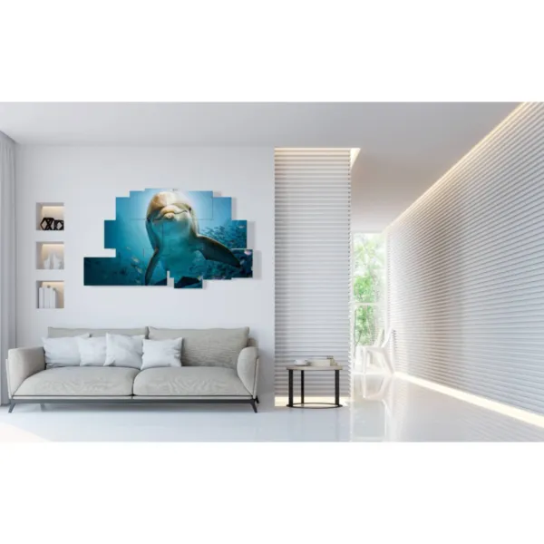 Dolphin playing video