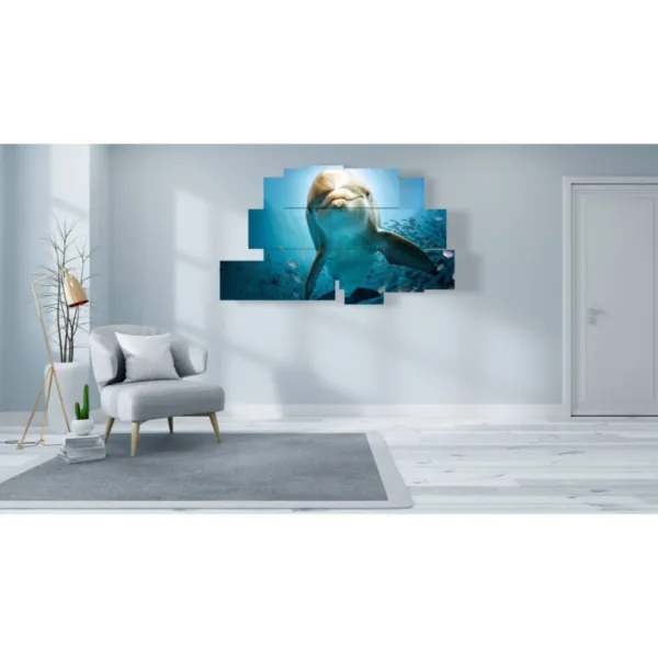 clip de dauphins joueurs