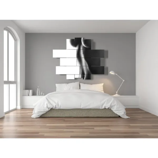 Sensual black and white paintings