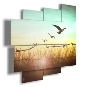 Abstract nature paintings in flight