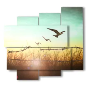 Tableaux abstraits de la nature