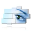 paintings of modern women seductive eye - version: 10 pannelli 173x114cm
