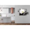 tableaux floraux blancs