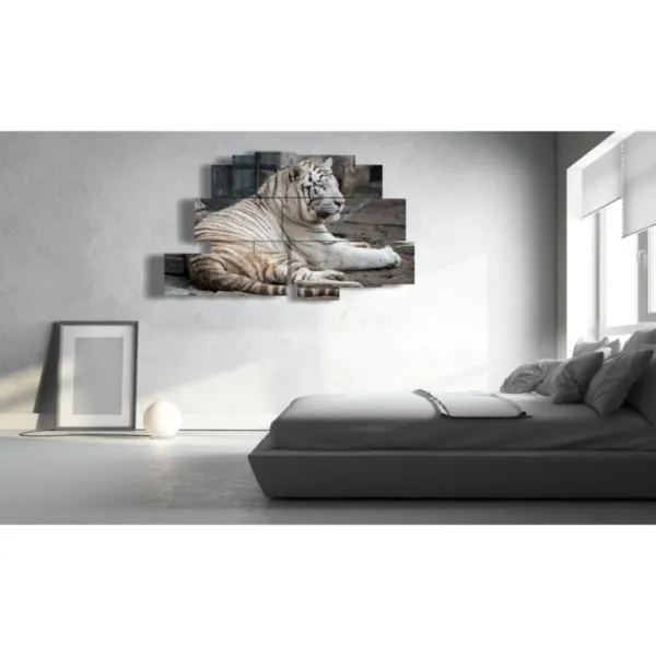 Tiger print paintings