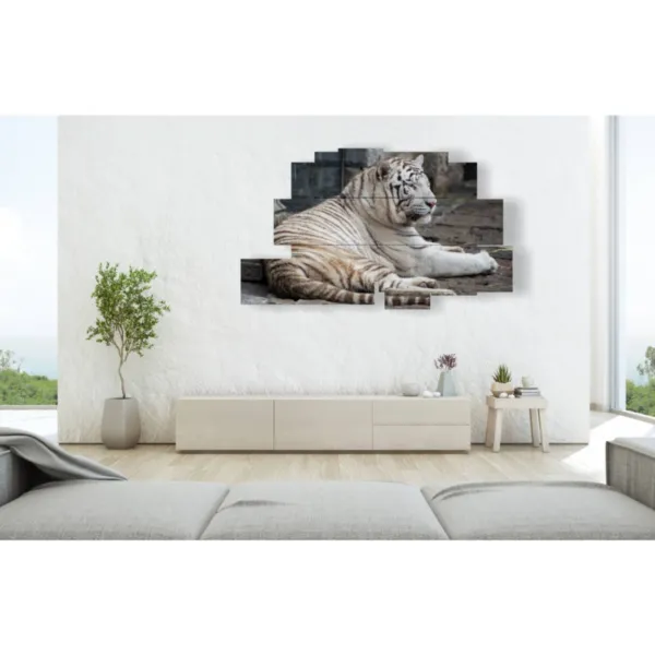 Tiger paintings, paintings