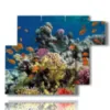 bild mit tropischen fischen - version: 6 pannelli 122x96cm