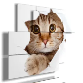 tableaux de chats modernes qui jouent