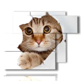 quadri di gatti moderni