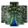 wonderful peacock tail painting - version: 5 pannelli 89x85cm
