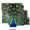 wonderful peacock tail painting - version: 6 pannelli 113x99cm